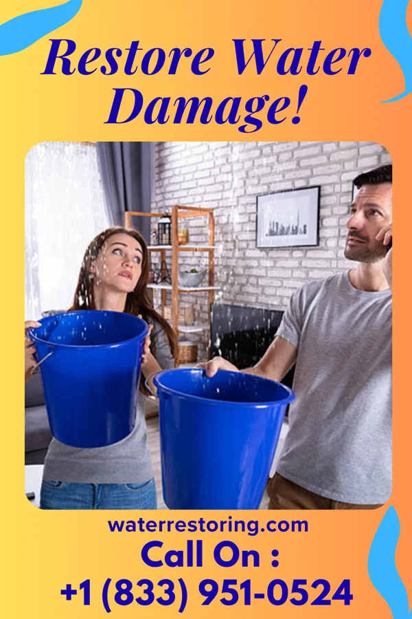 water restoration Elite Damage Restoration Pros Nesbitt