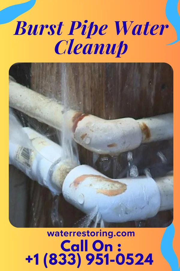 Burst Pipe Water Cleanup in Nesbitt, TX