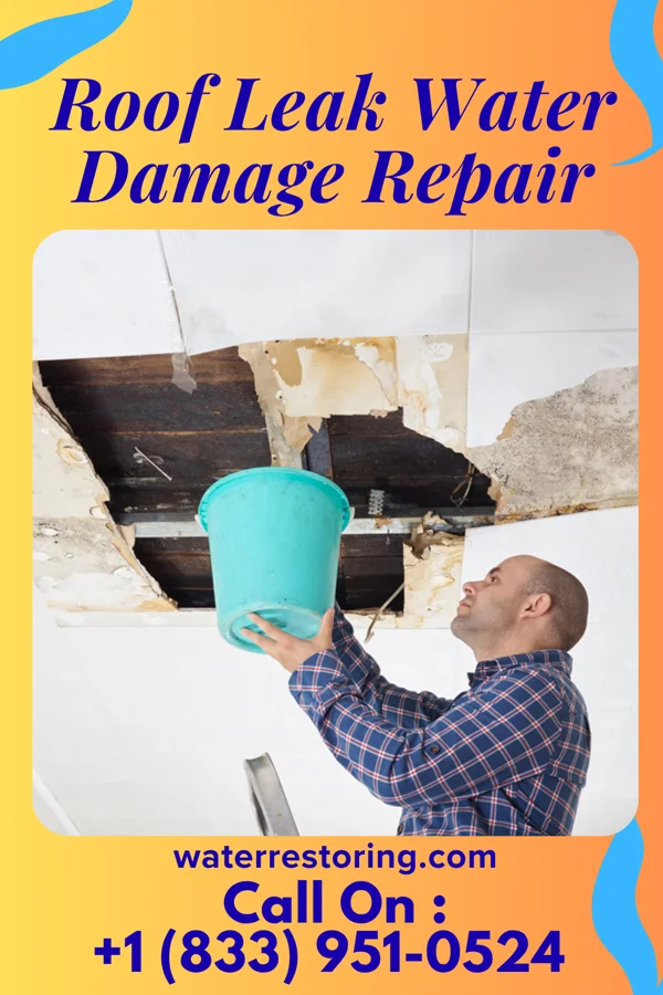 Roof Leak Water Damage Repair in Nesbitt, TX