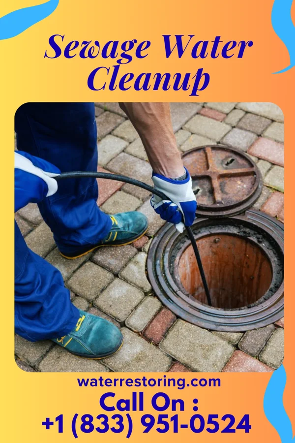 Sewage Water Cleanup in Nesbitt, TX